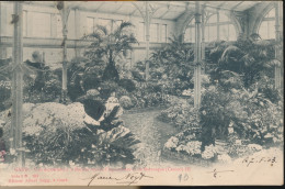 GENT     UNE EXPOSITION A LA SOCIETE ROYALE D'ARGRICULTURE ET DE BOTANIQUE      A.SUGG    1 /109  ZIE AFBEELDINGEN - Gent