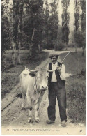 Type De Paysan Pyrénéen - Altri & Non Classificati