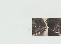 Sallèles D'Aude (11) Le Canal Du Midi En 1953- - Salleles D'Aude