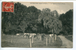 CPA Voyagé * BOURGUEIL Les Bords Du Doit à Pavée ( Troupeau De Vaches Au Pré ) Collection Tournesac - Other & Unclassified