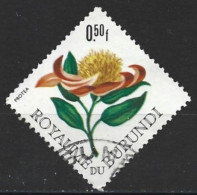 Burundi 1966. Scott #141 (U) Flowers, Protea - Gebruikt