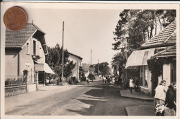 44 - Carte Postale Semi Moderne De Saint Brévin Les Pins     Avenue De Mindin - Saint-Brevin-les-Pins