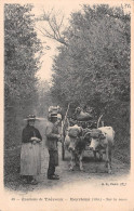 REYRIEUX (Ain) - Sur La Route - Attelage De Boeufs - Environs De Trévoux - Ohne Zuordnung