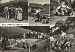 11853098 Appenzell IR Appenzeller Alltag Details Appenzell - Autres & Non Classés