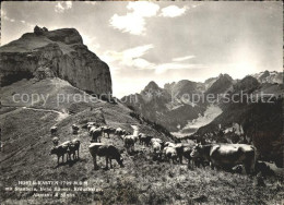 11853093 Hoher Kasten Mit Staubern Hohe Haeuser Kreuzberge Altmann Saentis Weide - Other & Unclassified