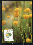 PORTUGAL PORTOGALLO 1989 WORLD STAMPS EXPO WASHINGTON DC EXHIBITION WILD FLOWERS SANTOLINA IMPRESSA60e MAXI MAXIMUM CARD - Maximum Cards & Covers