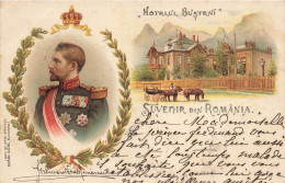 ROUMANIE #FG57155 SUVENIR DIN ROMANIA HOTELUL BUSTENI PRINCE FERDINAND - Rumänien