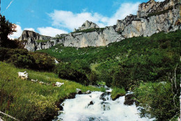 *CPM  - 26 - CHATILLON EN DIOIS - Archiane - Le Torrent - Châtillon-en-Diois