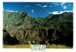 CPM - La RÉUNION - Cirque De CILAOS - Photo VILLON ... Edition Jade (format 20x13,5) - Other & Unclassified