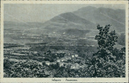 Cr21 Cartolina Solopaca Panorama Provincia Di Benevento Campania - Benevento