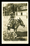 Espana Andalucia Malaga Burro De Carga  , Ane , Donkey ( Format 9cm X 14cm ) - Málaga