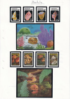 Barbuda - Collection Vendue Page Par Page - Coquillages & Champignons - Neufs ** Sans Charnière - TB - Antigua And Barbuda (1981-...)