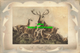 R588538 To Greet You. Deer. Lonsdale And Bartholomew. 1920 - Wereld