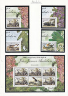 Barbuda - Collection Vendue Page Par Page - Oiseaux - Neufs ** Sans Charnière - TB - Antigua And Barbuda (1981-...)