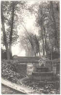 CPA DE SAINT-CLOUD  (HAUTS DE SEINE)  LE PARC EN AUTOMNE - Saint Cloud