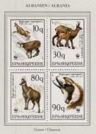 ALBANIA 1990 WWF Chamois Mi 2423-2426 MNH(**) Fauna 787 - Nuevos