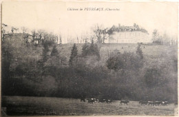 C. P. A. : 16 : Château De PUYREAUX (Charente), En 1920 - Altri & Non Classificati