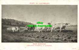 R588331 Musee Du Luxembourg. Rosa Bonheur. Labourage Nivernais. Le Sombrage. G. - Monde