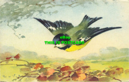 R588594 Bird. Painting. No. 124. Stehli - Mondo