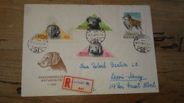 Enveloppe MAGYAR, Budapest, Expressz To Belgium 1957  ............ Boite1 .............. 240424-287 - Lettres & Documents