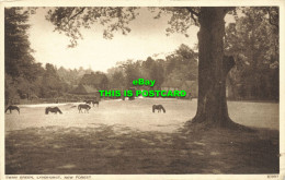 R588615 Swan Green. Lyndhurst. New Forest. 87887. Photochrom - Wereld