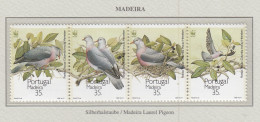 MADEIRA 1991 WWF Pigeons Birds Mi 143-146 MNH(**) Fauna 789 - Autres & Non Classés