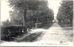 45 PITHIVIERS - Echappee Sur La Promenade Est -  - Pithiviers