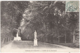 CPA DU CHÂTEAU DE SCEAUX  (HAUTS DE SEINE)  L'ALLÉE DE LA DUCHESSE - Sceaux