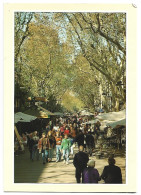 THE MAIN ARTERY OF THE HEART OF THE CITY.- LES RAMBLES.-  BARCELONA.- ( CATALUNYA) - Barcelona