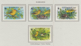 BARBADOS 1991 WWF Birds Mi 770-773 MNH(**) Fauna 792 - Otros & Sin Clasificación