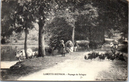 41 LAMOTTE BEUVRON - Un Paysage De Sologne - Lamotte Beuvron