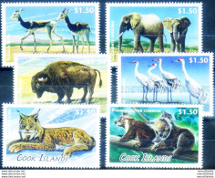 Fauna Selvatica 2013. - Islas Cook