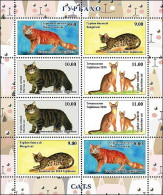 Tajikistan 2024 . Cats. Sheetlet Of 8 - Tagikistan