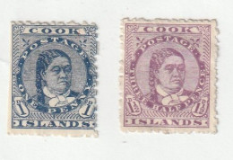 ZCooN00 - RARE  --  OCEANIE  --  Iles  COOK  1894  --   LOT  De  2  Timbres  Neufs*  --  Queen  Makea  Takau - Cocoseilanden