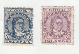 ZCooN00 - RARE  --  OCEANIE  --  Iles  COOK  1894  --   LOT  De  2  Timbres  Neufs*  --  Queen  Makea  Takau - Islas Cocos (Keeling)