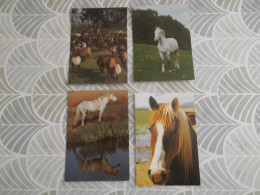 LOT Van 191 Postkaarten DIEREN ALGEMEEN - Colecciones Y Lotes