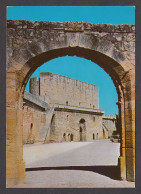 100499/ AIGUES-MORTES, Les Remparts, L'entrée De La Ville  - Aigues-Mortes