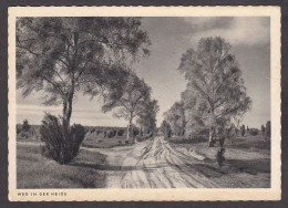 077371/ LÜNEBURGER HEIDE, Weg In Der Heide - Lüneburger Heide