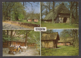 077361/ LÜNEBURGER HEIDE, Naturschutzgebiet - Lüneburger Heide