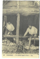 Fougéres Les Sbotiers Dans La Forêt - Fougeres