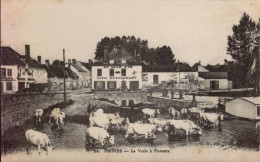 FISMES   ( MARNE )    LOT DE 2 CARTES . LA VESLE A FISMETTE . LES PROMENADES - Fismes