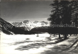 11849274 Samedan Bernina Gruppe Skispuren Samedan  - Other & Unclassified