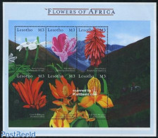 Lesotho 2000 African Flowers 6v M/s, Mint NH, Nature - Flowers & Plants - Lesotho (1966-...)