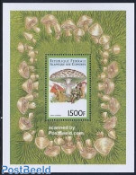 Comoros 1999 Mushroom & Elf S/s, Lepiota Molybdites, Mint NH, Nature - Mushrooms - Art - Fairytales - Champignons