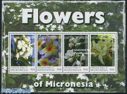 Micronesia 2007 Flowers Of Micronesia 4v M/s, Mint NH, Nature - Flowers & Plants - Micronesia