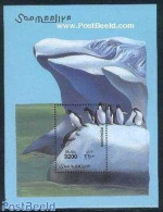 Somalia 2001 Penguin S/s, Mint NH, Nature - Birds - Penguins - Somalia (1960-...)