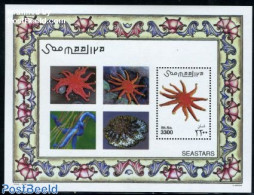 Somalia 2001 Starfish S/s, Mint NH, Nature - Somalië (1960-...)