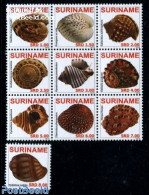 Suriname, Republic 2010 Shells 10v (1v+sheetlet), Mint NH, Nature - Shells & Crustaceans - Mundo Aquatico