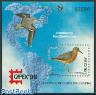 Uruguay 1996 CAPEX, Birds S/s, Mint NH, Nature - Various - Birds - Philately - Maps - Geography