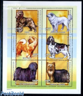 Central Africa 2001 Dogs 6v M/s, Mint NH - Zentralafrik. Republik